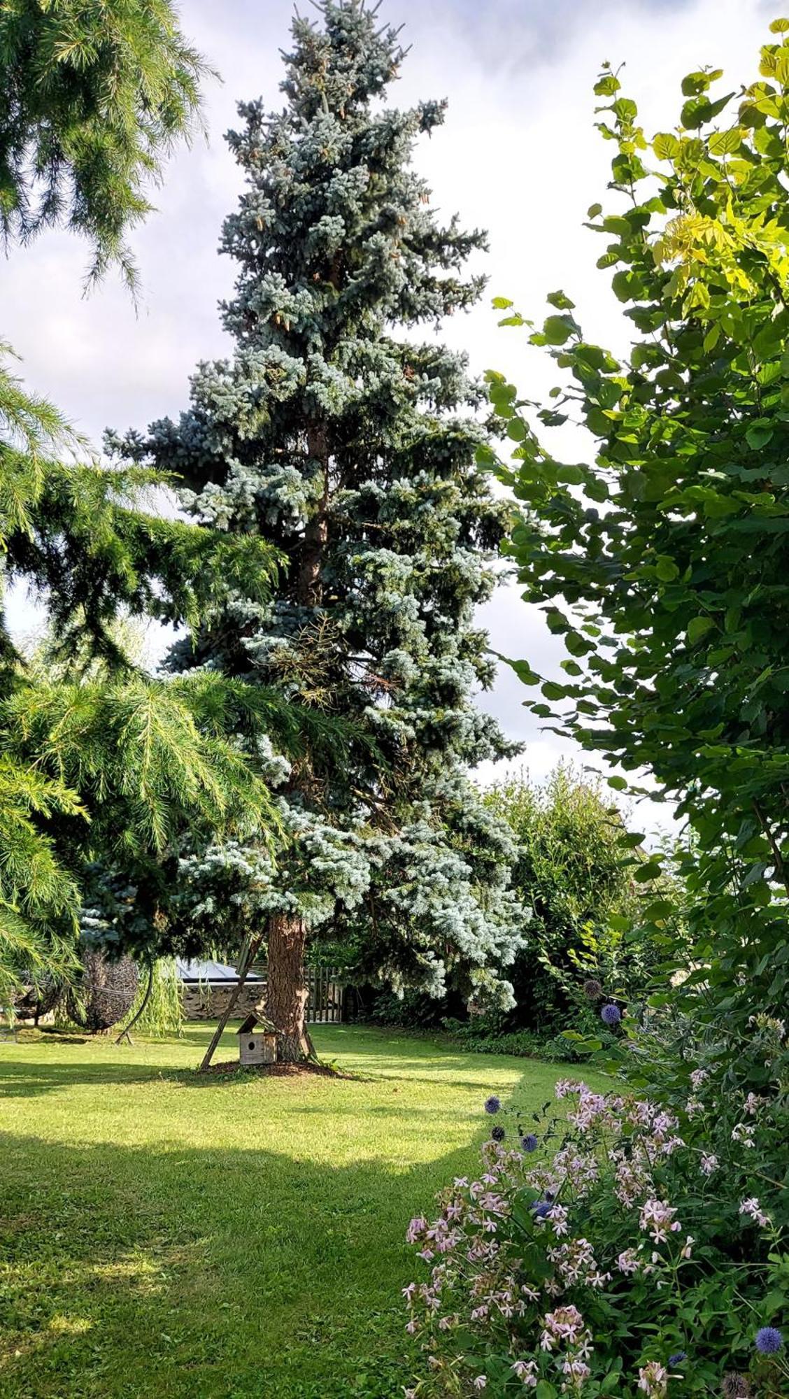 La Bergerie-En-Vexin Bed & Breakfast Jambville Bagian luar foto